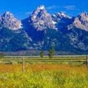 Meet your Posher, Tennis Pro37